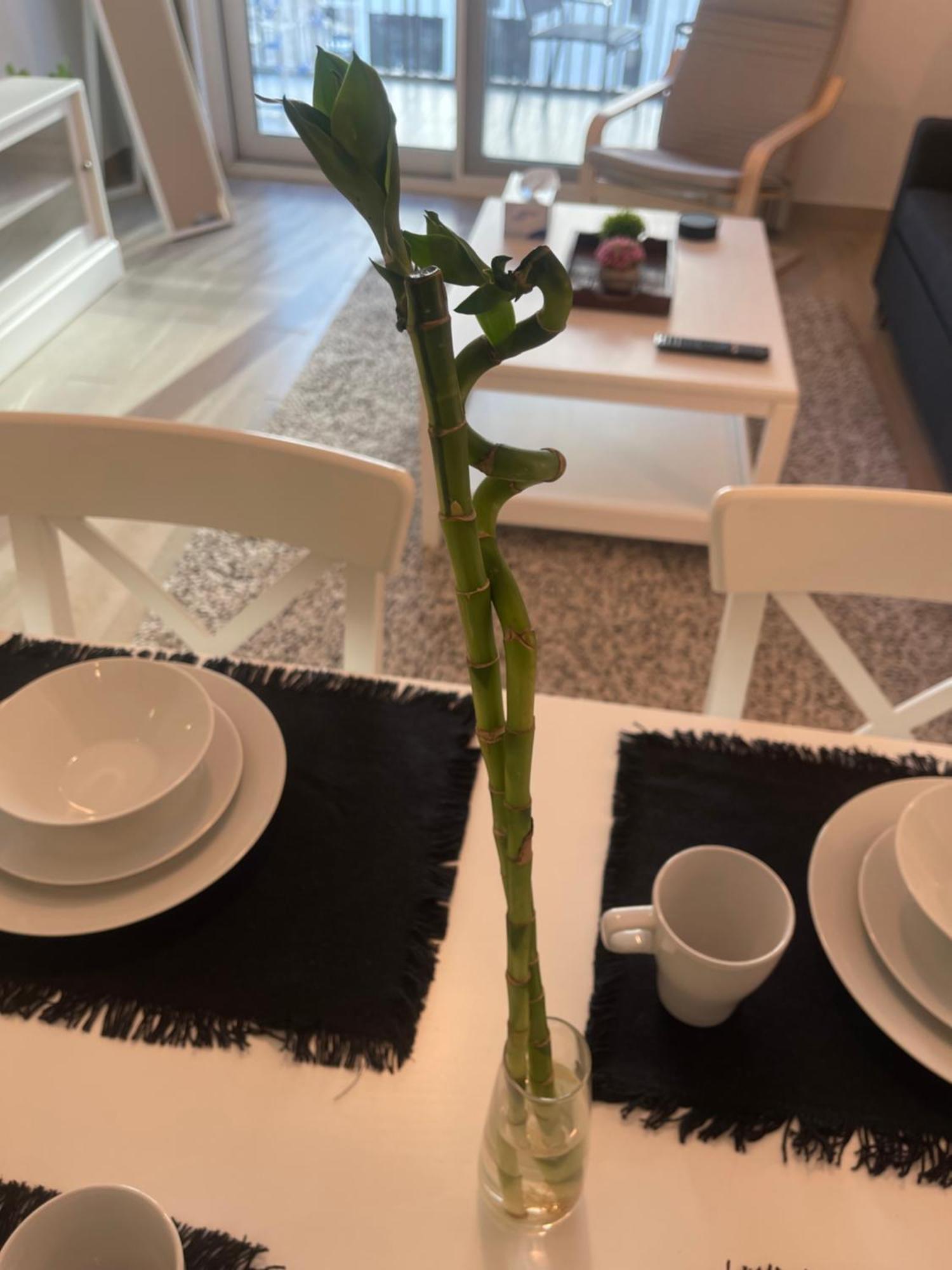 Appartamento Daisy Hill 1br Waters Edge Canal View Theme Parks Yas Island Abu Dhabi